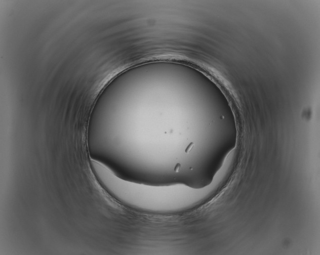 X0000090601281200707311154