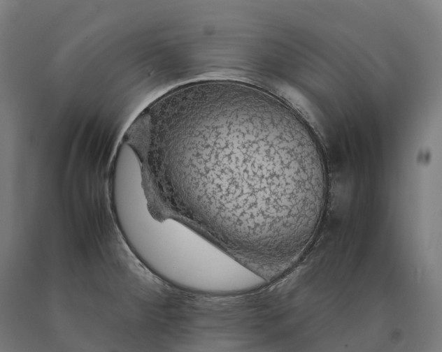 X0000090601284200707311154