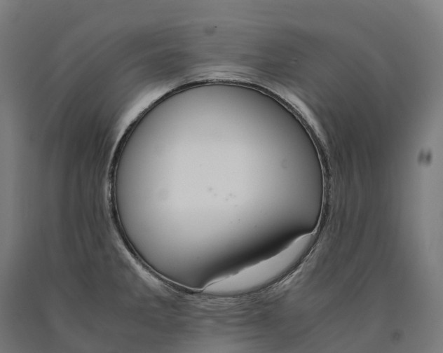 X0000090601285200707311154