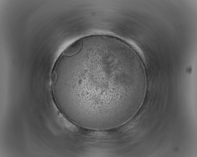 X0000090601287200707311154