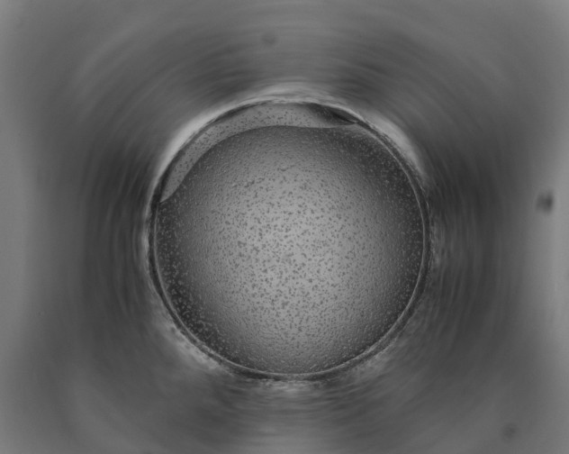 X0000090601288200707311154