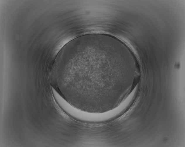 X0000090601289200707311153