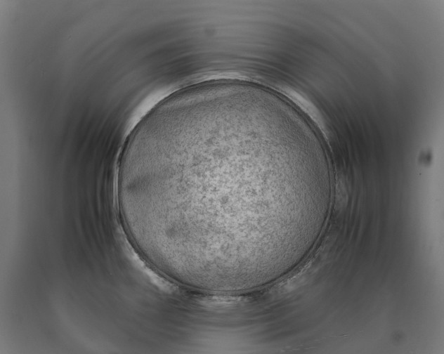 X0000090601290200707311153