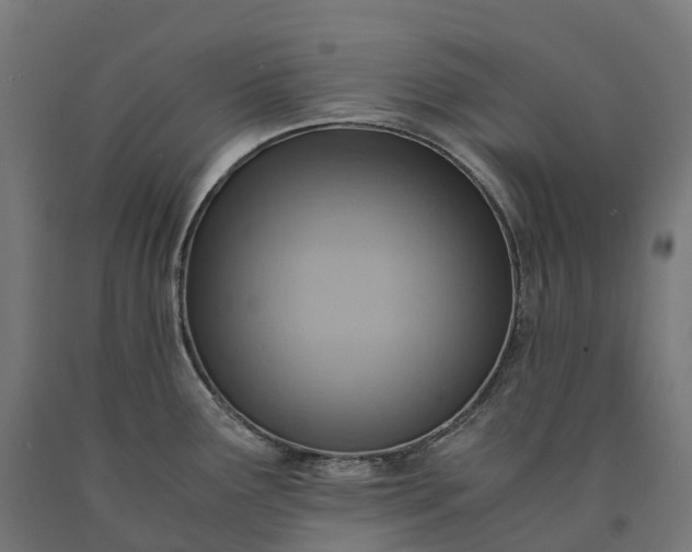 X0000090601291200707311153