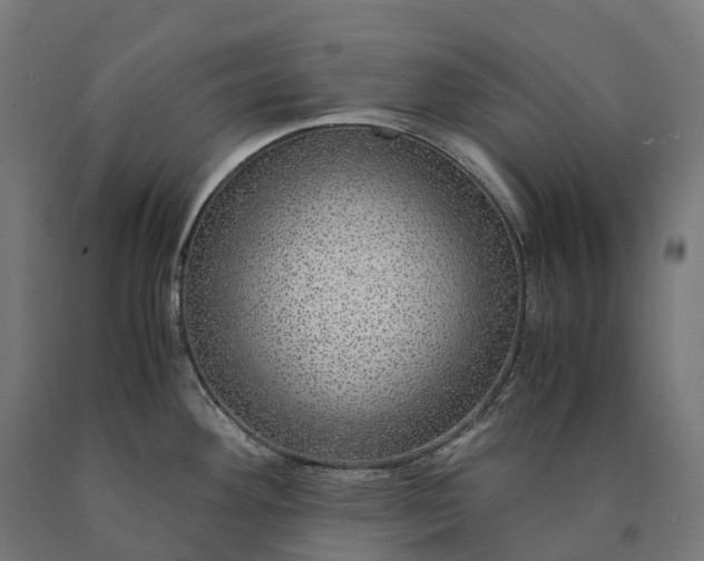 X0000090601292200707311153