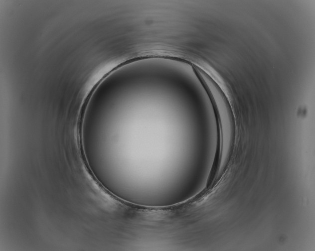 X0000090601293200707311153