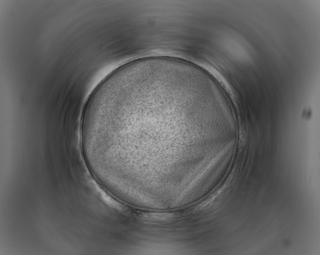 X0000090601294200707311153