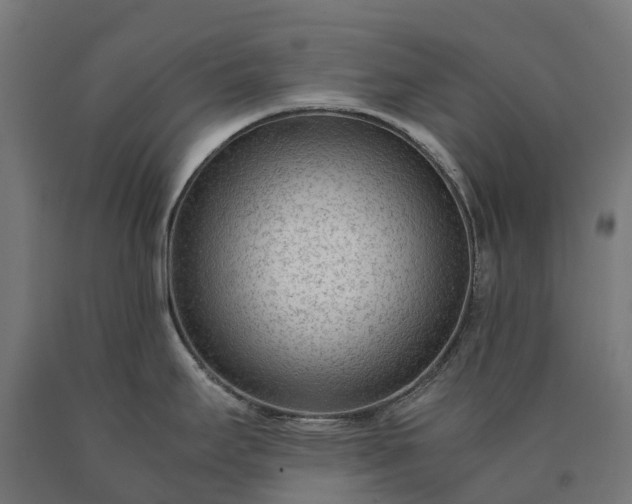 X0000090601295200707311153