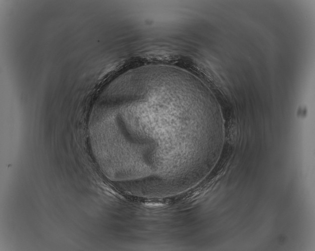 X0000090601297200707311153