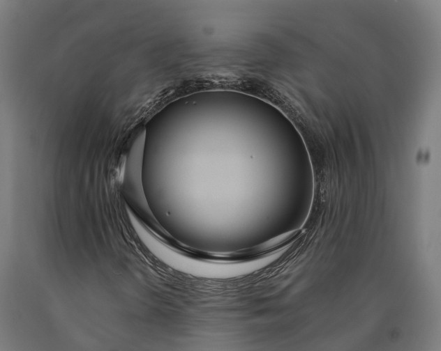 X0000090601298200707311153