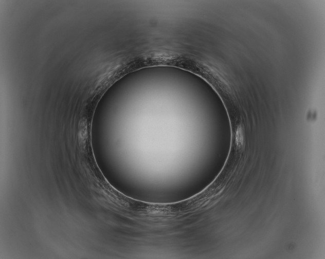 X0000090601299200707311153