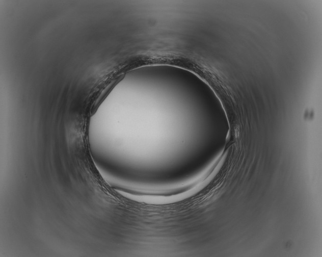 X0000090601300200707311153