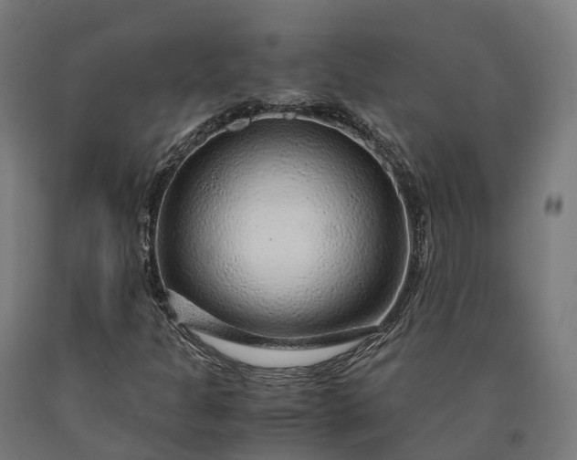 X0000090601301200707311153