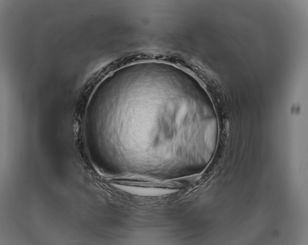 X0000090601302200707311153