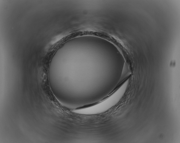 X0000090601303200707311153