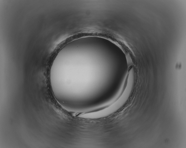 X0000090601304200707311153