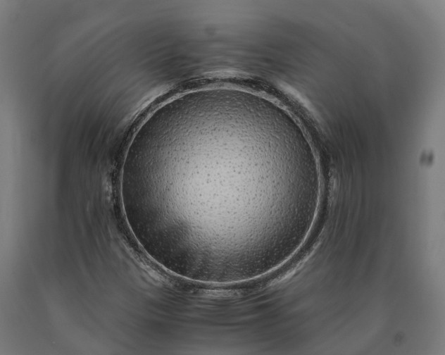 X0000090601305200707311153