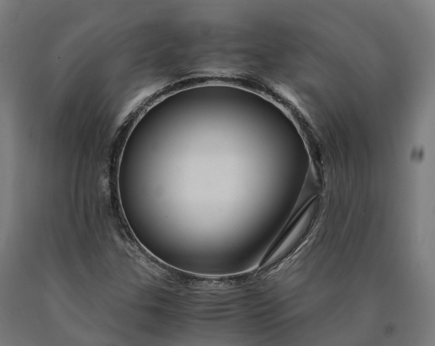 X0000090601307200707311153