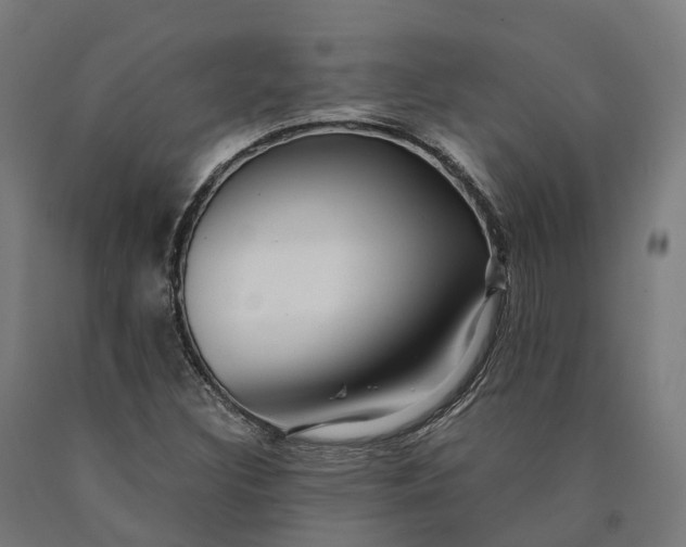 X0000090601308200707311153