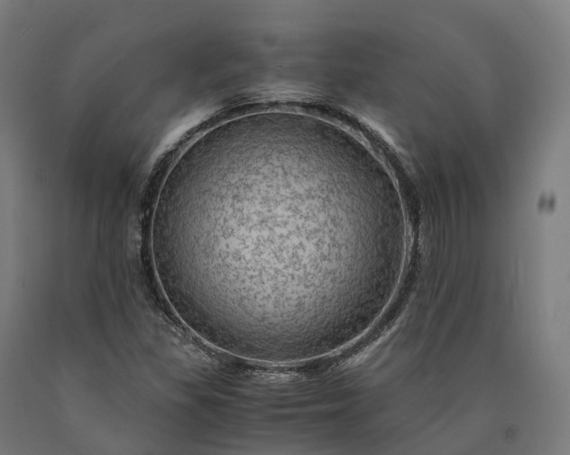 X0000090601309200707311153