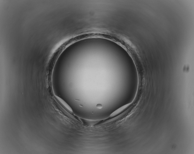 X0000090601310200707311153