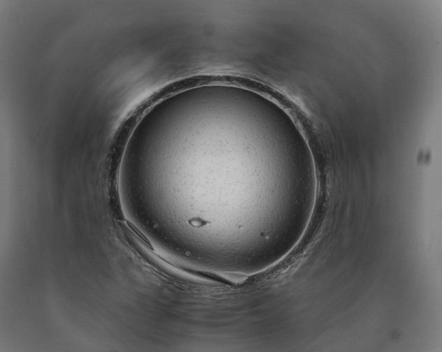 X0000090601311200707311153