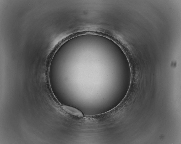 X0000090601312200707311153