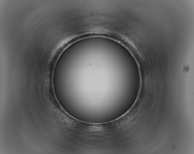 X0000090601315200707311153