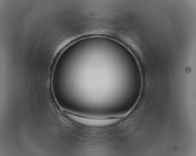 X0000090601316200707311153