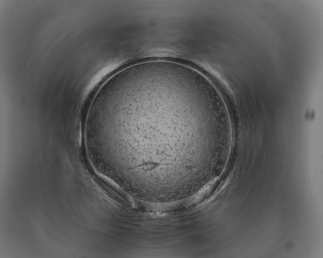 X0000090601317200707311153