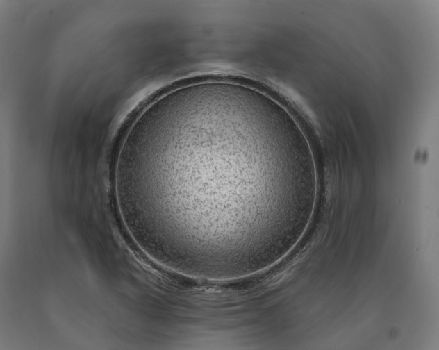 X0000090601318200707311153