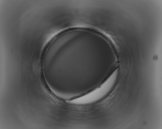 X0000090601319200707311153