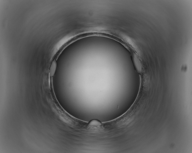 X0000090601320200707311153