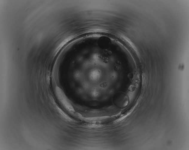 X0000090601321200707311153