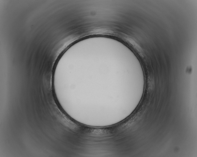 X0000090601322200707311153