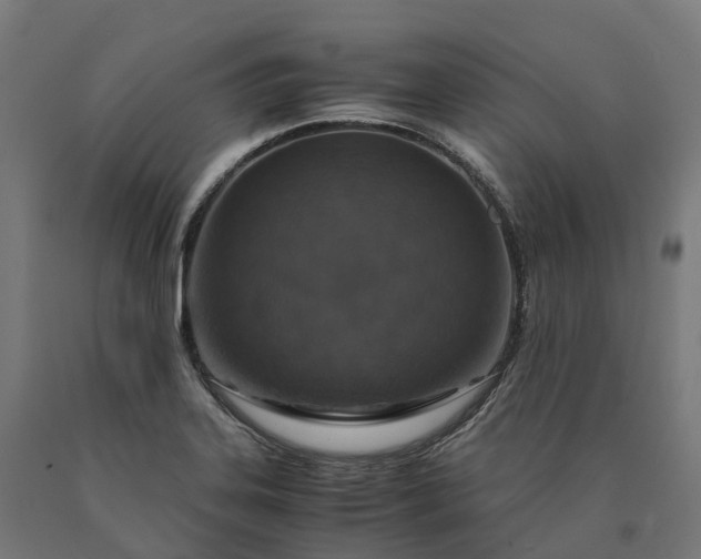 X0000090601323200707311153