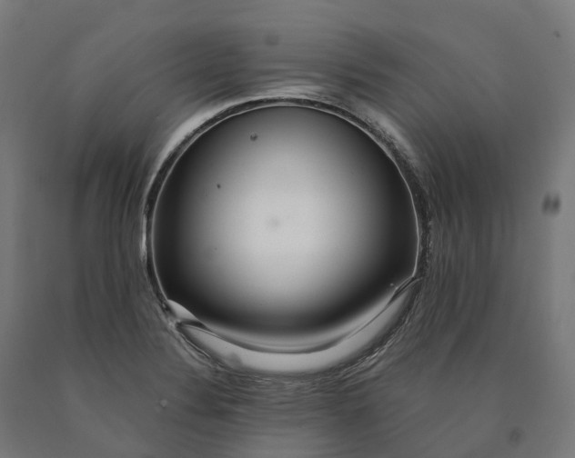 X0000090601324200707311153