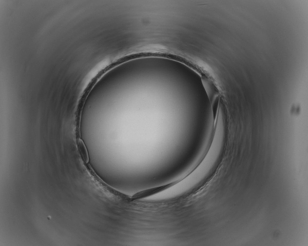 X0000090601326200707311153