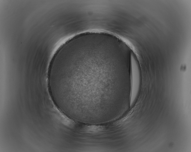 X0000090601327200707311153