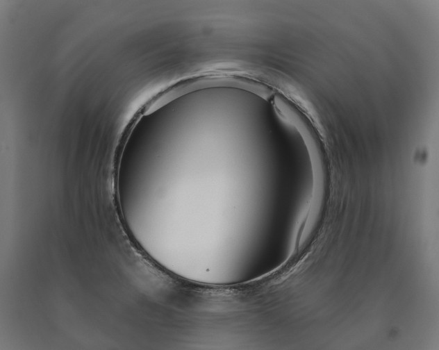 X0000090601328200707311153