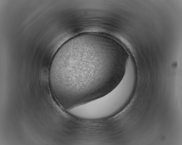 X0000090601329200707311153