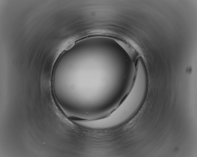 X0000090601330200707311153