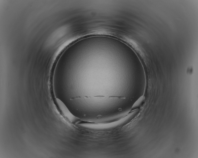 X0000090601331200707311153