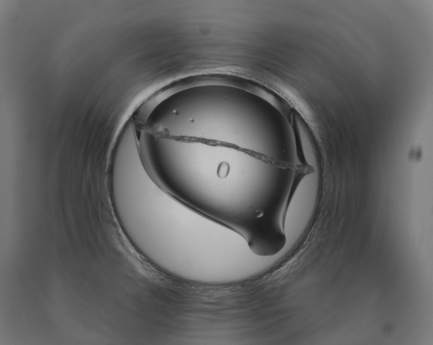 X0000090601332200707311153