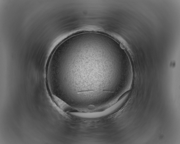 X0000090601335200707311153