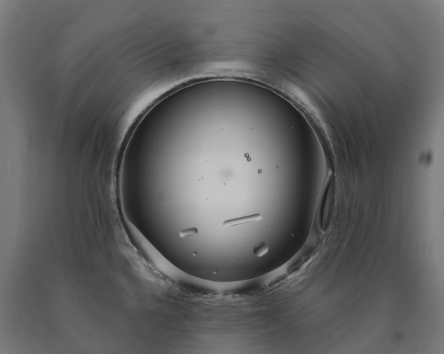 X0000090601336200707311153