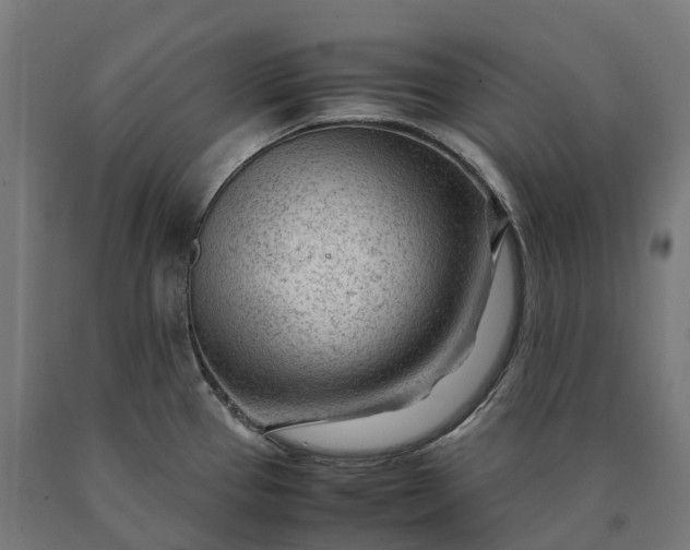 X0000090601337200707311153