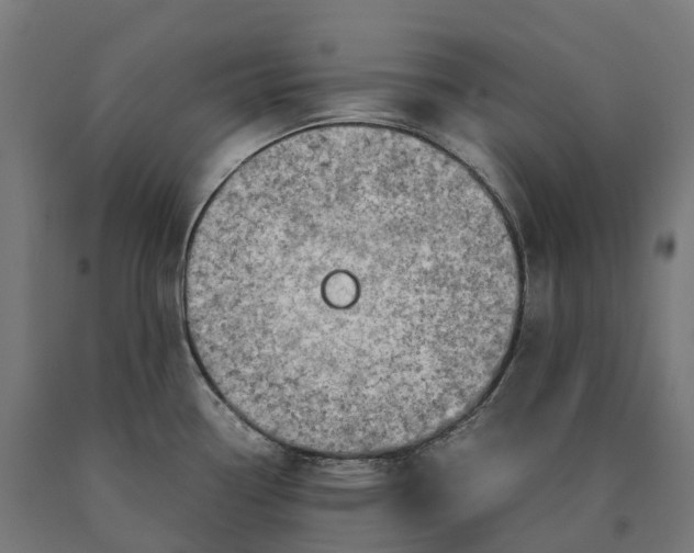 X0000090601338200707311153