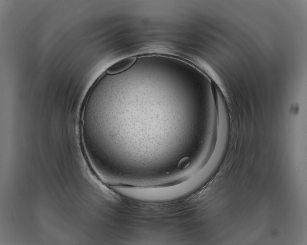 X0000090601339200707311153