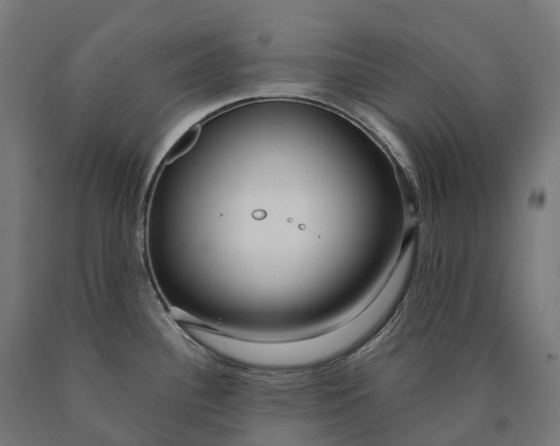 X0000090601340200707311153